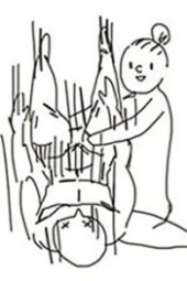絢